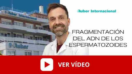 Video Fragmentacion ADN semen. Este enlace se abrirá en una ventana nueva