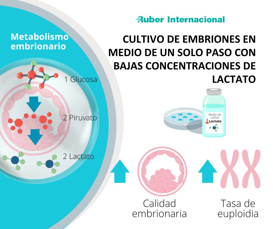 Avances en los medios de cultivo en el laboratorio de FIV