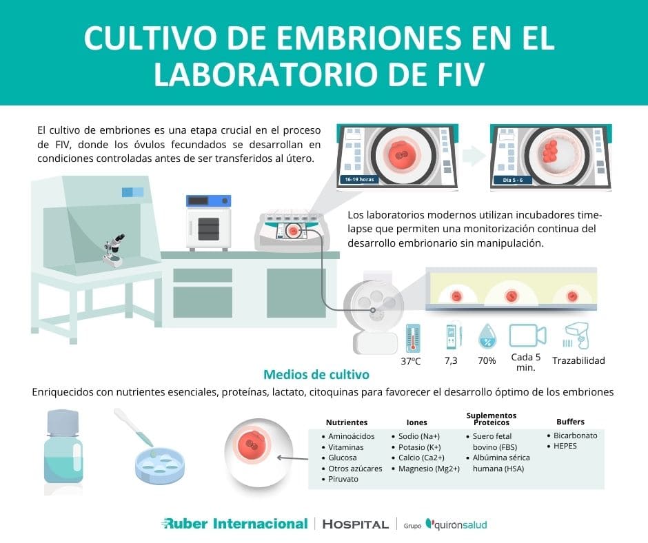 Cultivo de embriones fecundación in vitro FIV