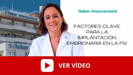 implantación del embrión fiv factores clave ver vídeo. Este enlace se abrirá en una ventana nueva