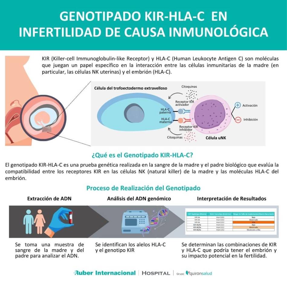 Genotipado KIR HLAC test infertilidad inmunologica