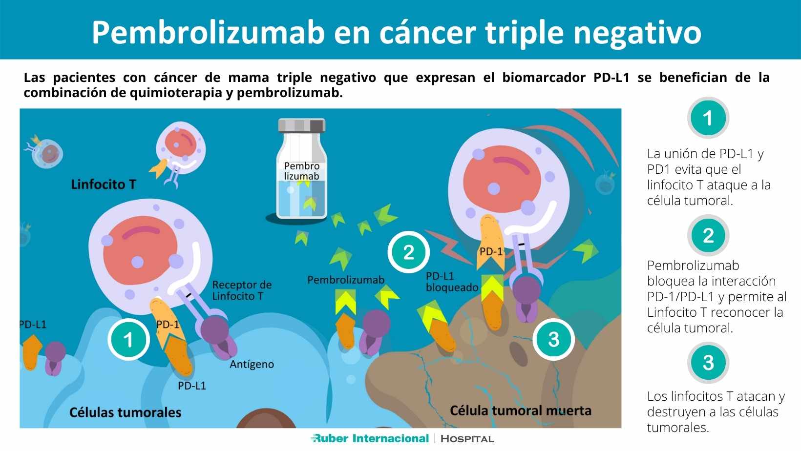 Cáncer de mama triple negativo pembrolizumab Dr Cortes Hospital Ruber Internacional